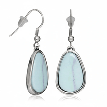 Load image into Gallery viewer, Womens Silver Plated Brass Resin‎ Teardrop Earrings