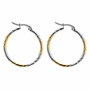 Silver and Gold Hoop Earrings